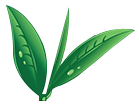 teaworld.de logo