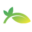 temuco.cl logo