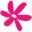 texanerin.com logo