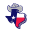 texasinnovationsmarket.com logo