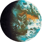 thedailyworld.com logo