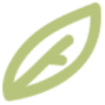thehealthymaven.com logo
