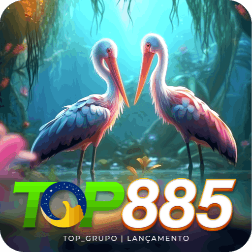 top885.co logo