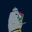tourvespucci.it logo