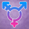 trans4men.com logo