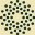 trulieveoh.com logo