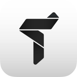 trusteeglobal.com logo