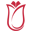 turkiyeburslari.gov.tr logo
