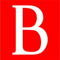 vnbusiness.vn logo