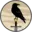 voynaplemyon.com logo