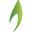 wellnessbriefs.com logo