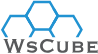 wscubetech.com logo