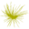 Autism Ontario - York Region