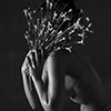 creator-social-link
