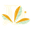 yourdaye.com logo