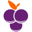 10dollar.ca logo
