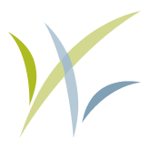 10healthytips.com icon