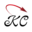 11fdj.com icon