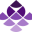 1202.org.il logo