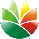 121xn.com icon