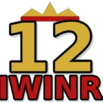 12iwinr.cc icon