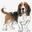 178pg.com icon