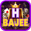 17hbajee.com icon