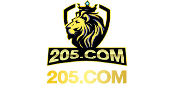 205001.com icon