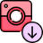 Domain Favicon