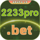 2233pro.com icon