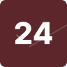 24web.ro icon