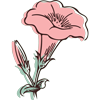 275delahow.com icon