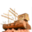 2plagesocean.com icon
