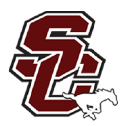 305centralhigh.com icon
