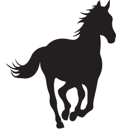 305oakdale.com icon