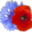 39-45.org icon