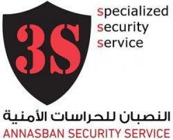 3s-security.net icon