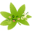 420couponcodes.com icon