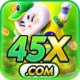 45x1.com icon