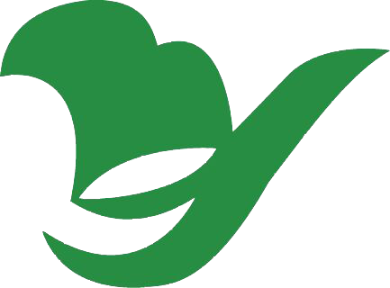 51-online.cn icon