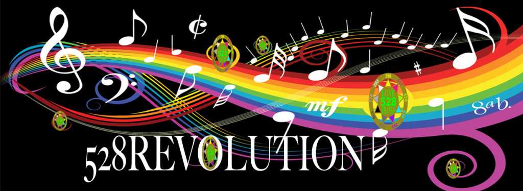 528revolution.com icon
