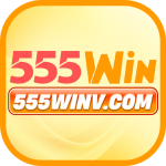 555winv.com icon
