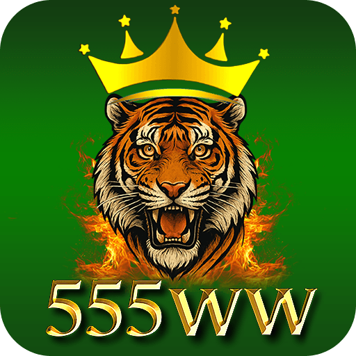 555ww.co icon