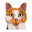 5ctcsolutions.com icon