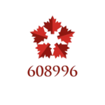 608996.com icon