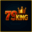 79kingvnc.com icon