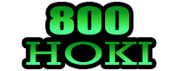 800hoki.com icon