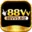 88vv5.biz icon