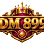 899dm.com icon