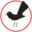8ccc.com.au icon